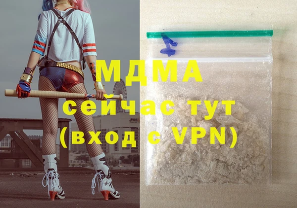 индика Алексин