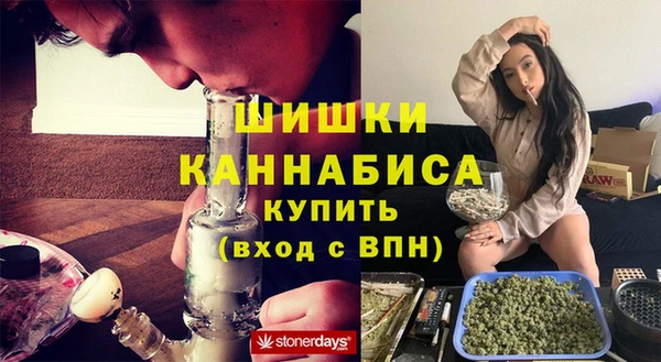 индика Алексин
