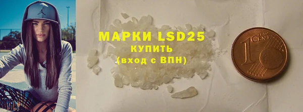 индика Алексин