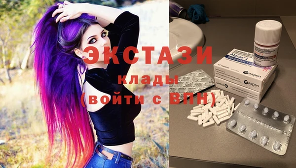 индика Алексин