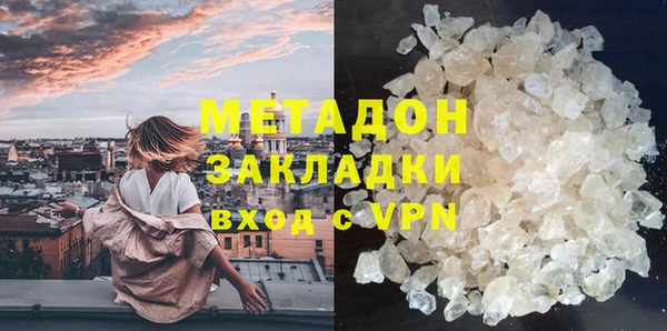 прущие грибы Алзамай