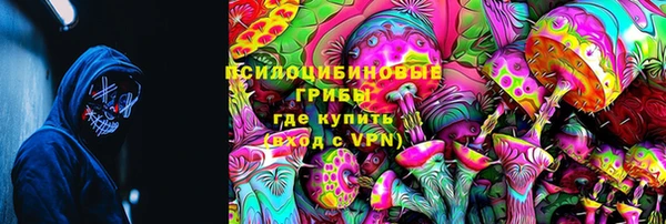 индика Алексин
