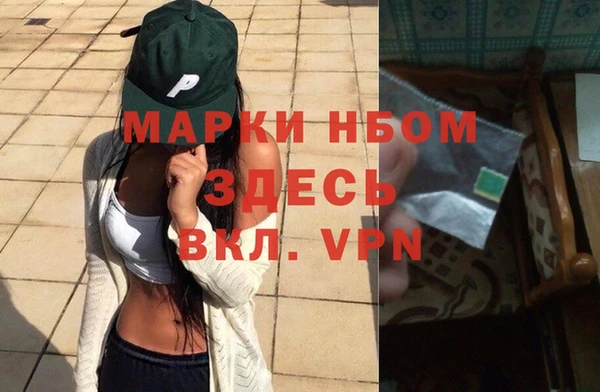 индика Алексин