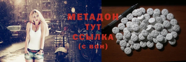 индика Алексин